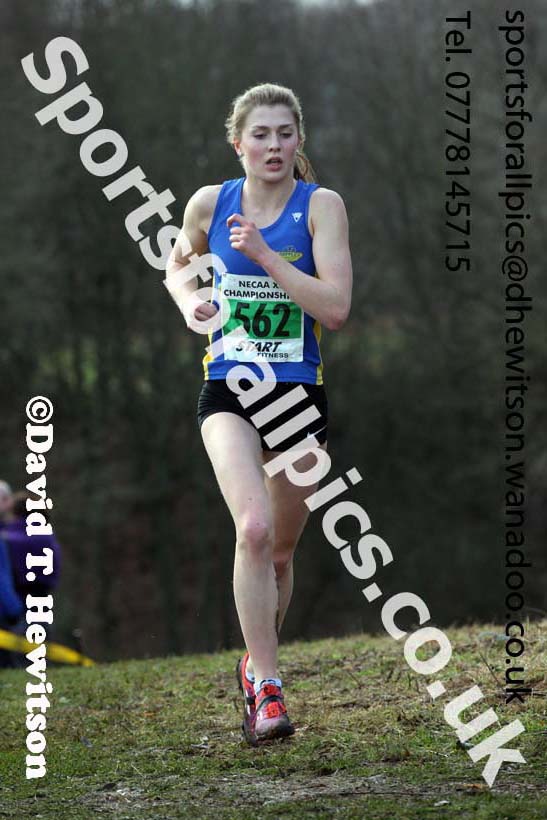 Womens under-17s and 20s North Eastern Cross Country, Aykley Heads, Durham. Photo: David T. Hewitson/Sports for All Pics